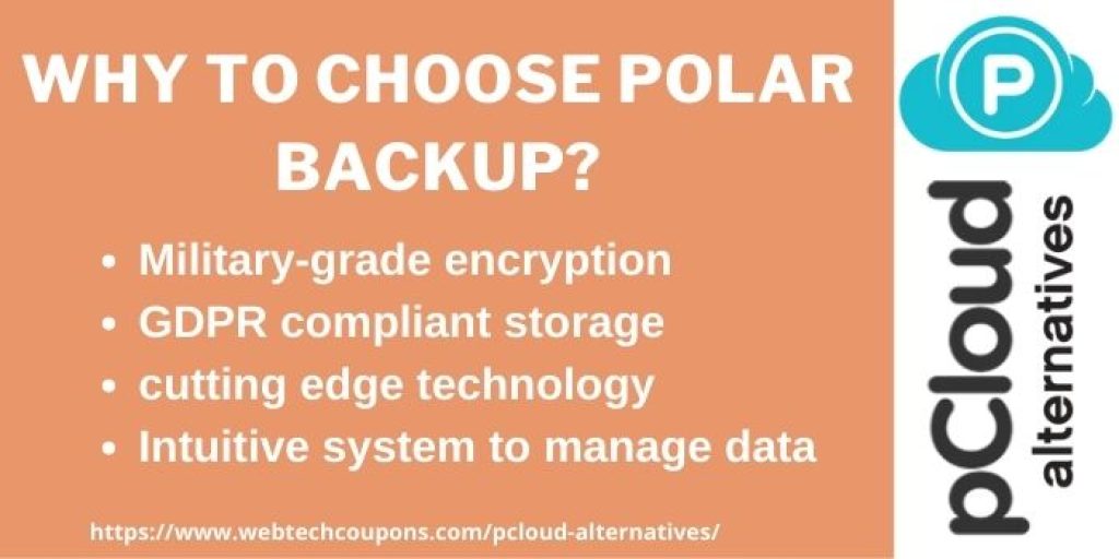 polar backup features 